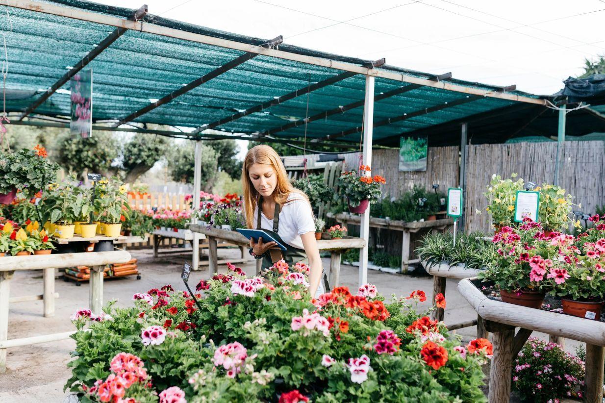 Woman in apron inspecting colorful potted flowers in an outdoor plant nursery.